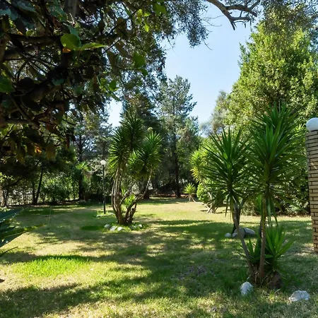 Lemon Garden Ligia